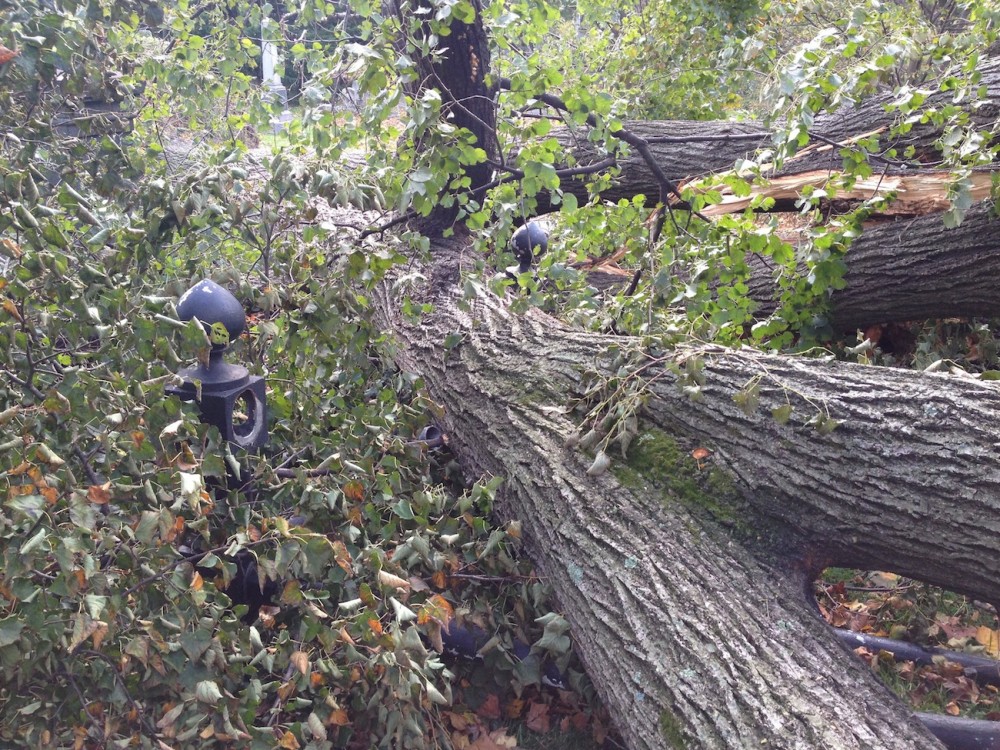 The fence, crushed.