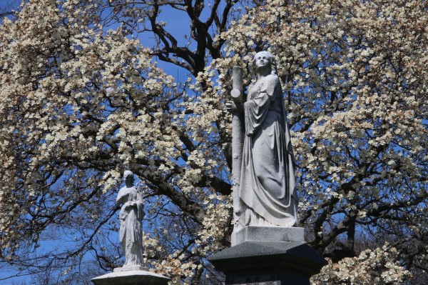 A white magnolia on Battle Hill provides a spectacular background for these sculptures.