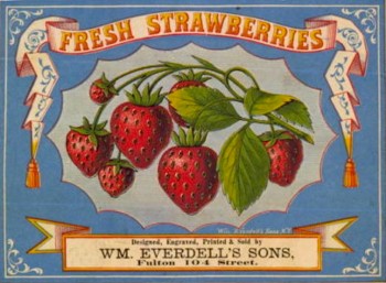 everdell.strawberry