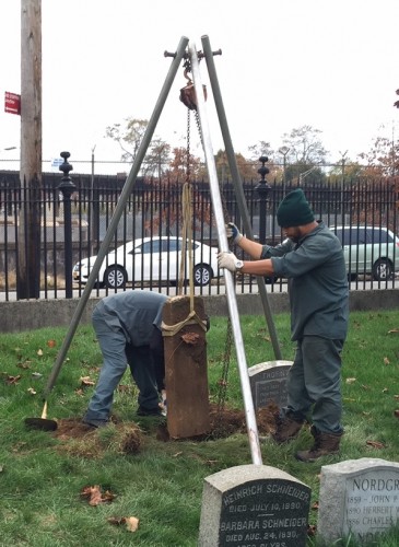 Lifting the stone out of the ground.