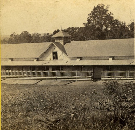 ""L.W. Jerome's Private Stables, celebrated trotting horse Idlewild kept in this stable." Published by E. & H.T. Anthony & Co.