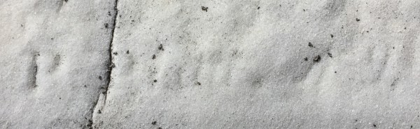 The sculptor's signature as it appears on the Griffith Monument.