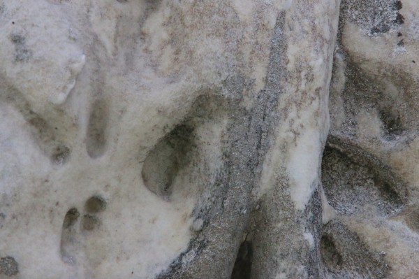 On the capital at left front, most of the wash over the marble seems to have worn away; traces remain in the recesses.