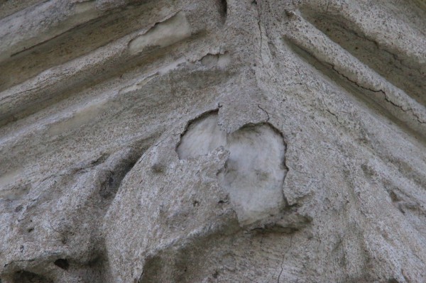 Note the material--likely the liquid fiberglass specified in cemetery records--over the lighter-colored marble. Detail of the right front capital. 