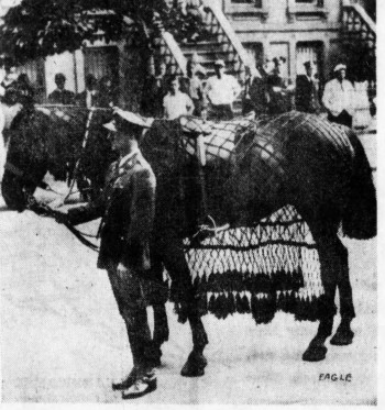 As per military traditions, Grant's horse was riderless in his funeral procession.
