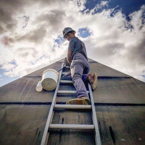 Neela Wickremesinghe ladderNeela Wickremesinghe ladder