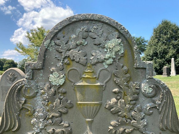 lichen on gravestone
