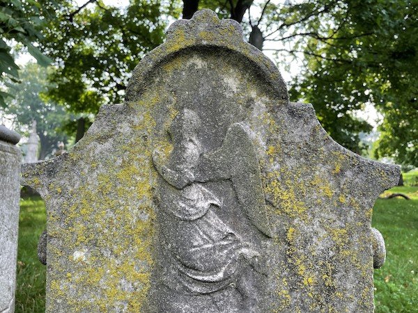 lichen on angel grave