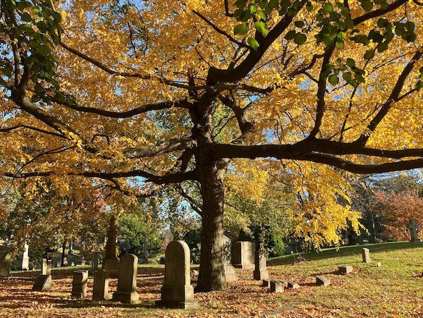 fall cemetery scene