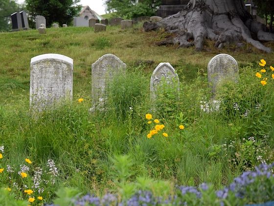 grassy gravestones