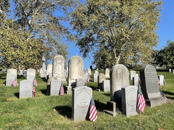 veteran graves and American flags