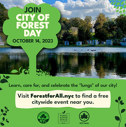 branded City of Forest Day flier