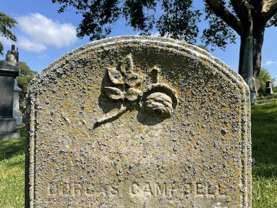 lichen on gravestone with carved rose