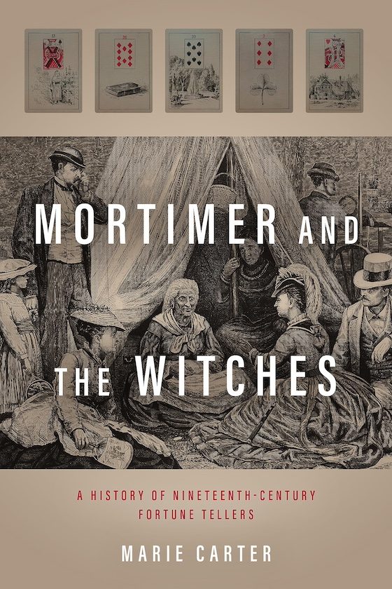 book cover mortimer and the witches