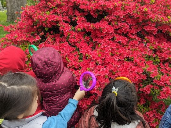 kids in front of flowering plant
