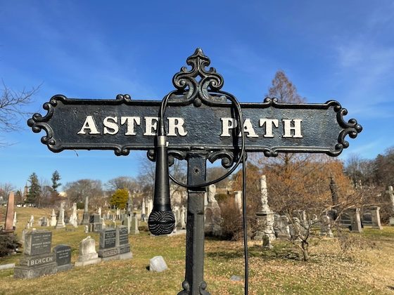 cemetery road sign with microphone