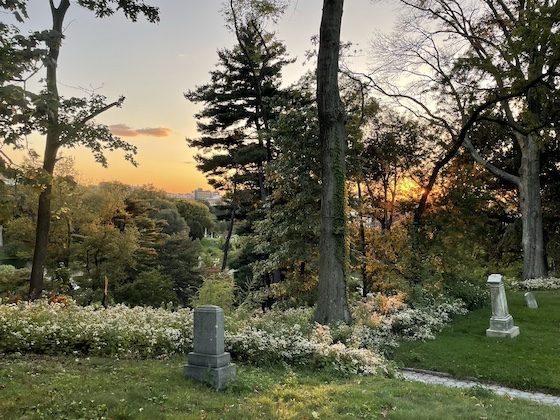 cemetery view of orange horizon light