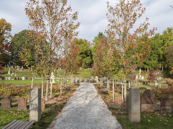 modern gravesite landscaping