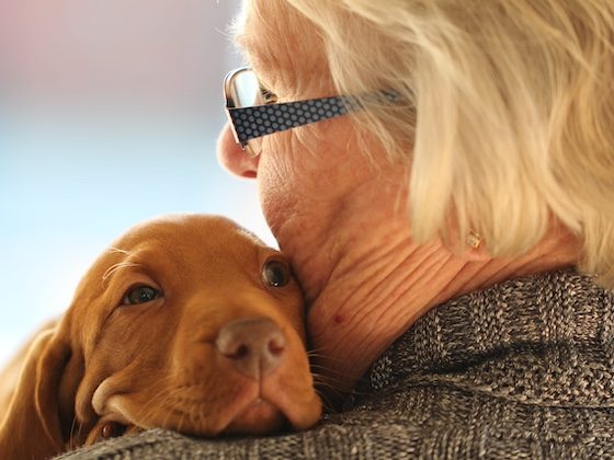 dog rests on woman's shoulder