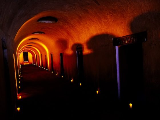 green-wood catacombs in orange light