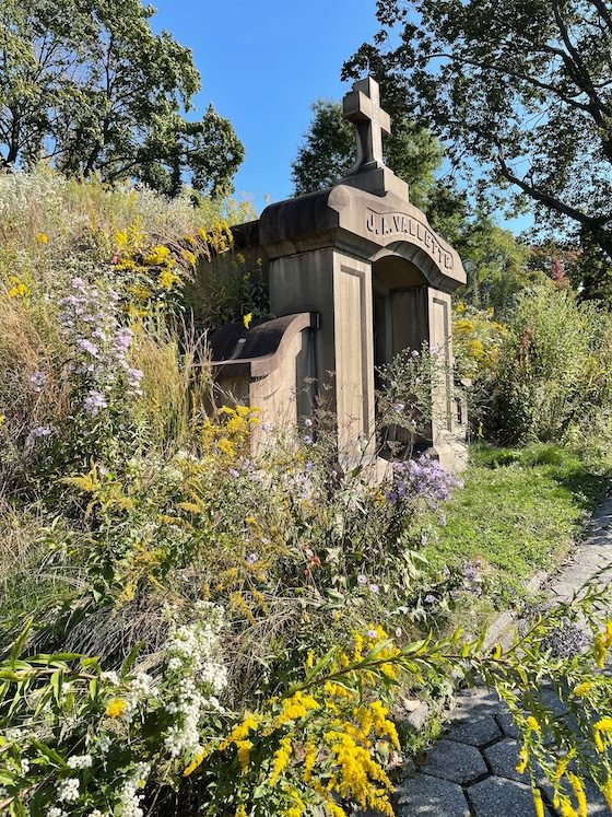 mausoleum surrounded by plant life