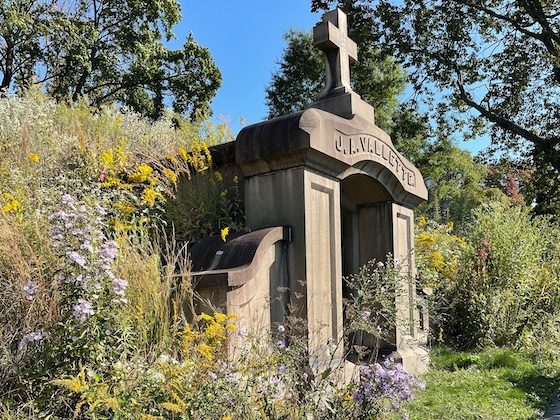 mausoleum surrounded by plant life