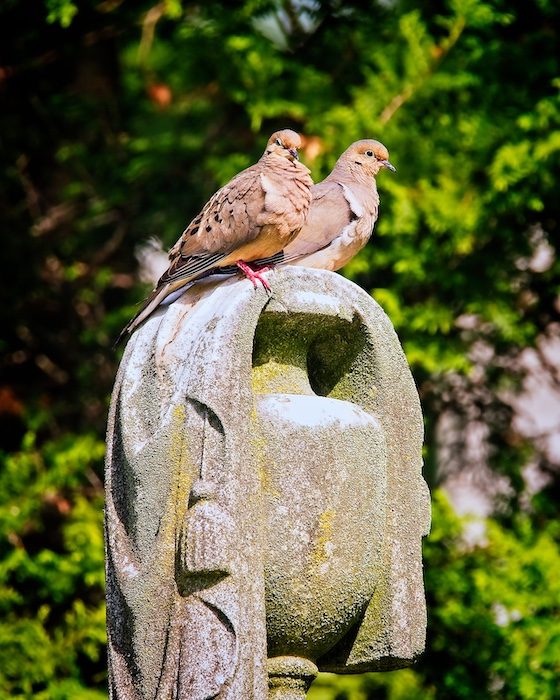 doves on grave monument