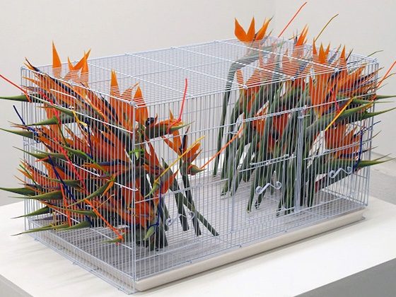 example of invasive ikebana in a cage