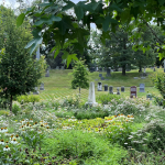 lush and green cemetery landscape