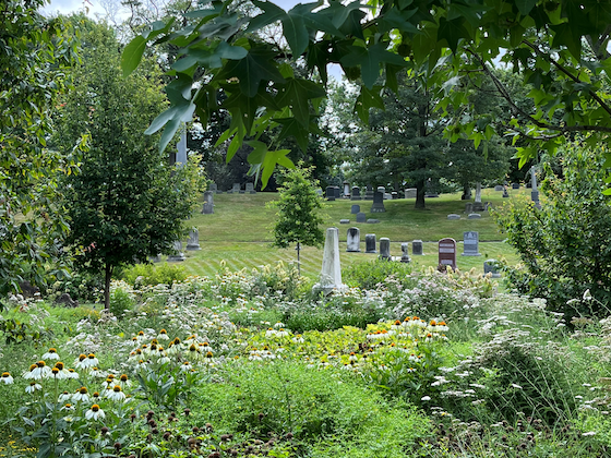 lush and green cemetery landscape