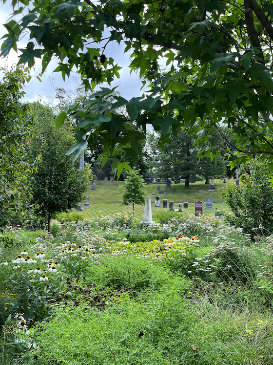lush and green cemetery landscape
