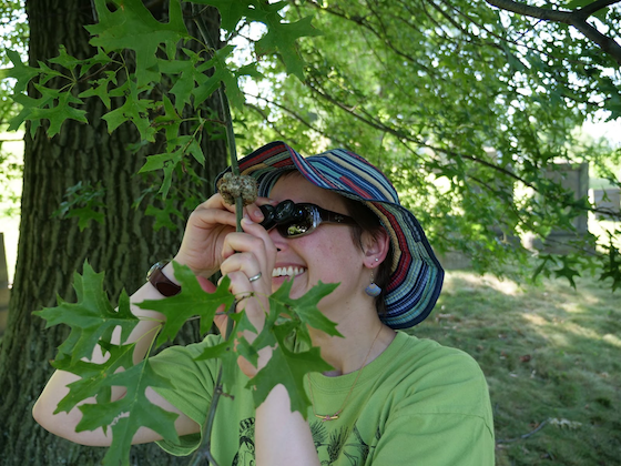 person in hat with magnifying tool inspects leaf gall