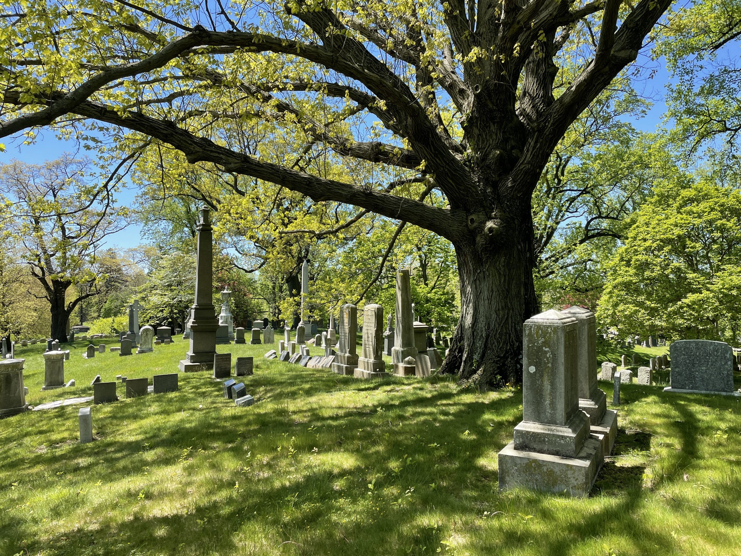 The Green-Wood Cemetery Landscape