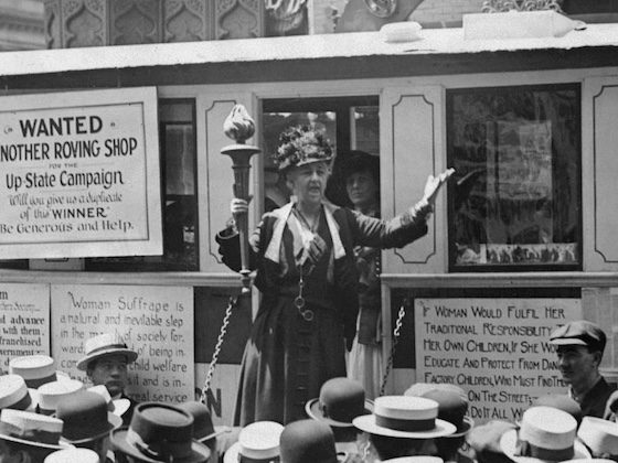 havemeyer activism speech